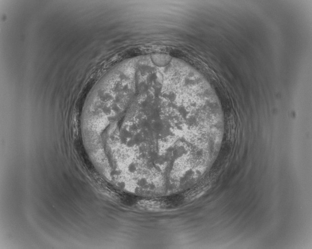 X0000086080699200704202151