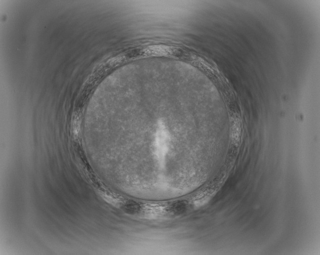 X0000086080701200704202151