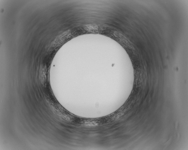 X0000086080702200704202151