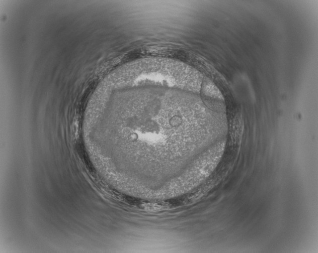 X0000086080703200704202151