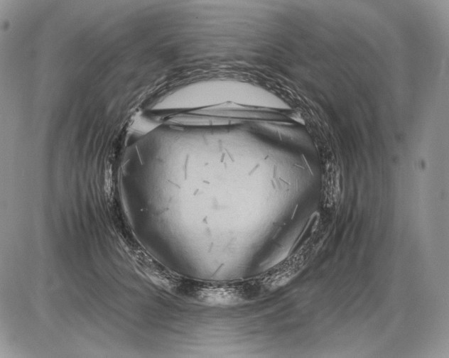 X0000086080704200704202151