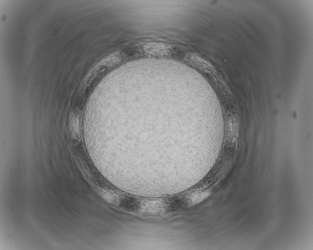 X0000086080705200704202151