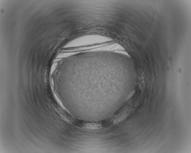 X0000086080708200704202151