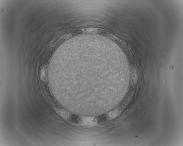 X0000086080709200704202151