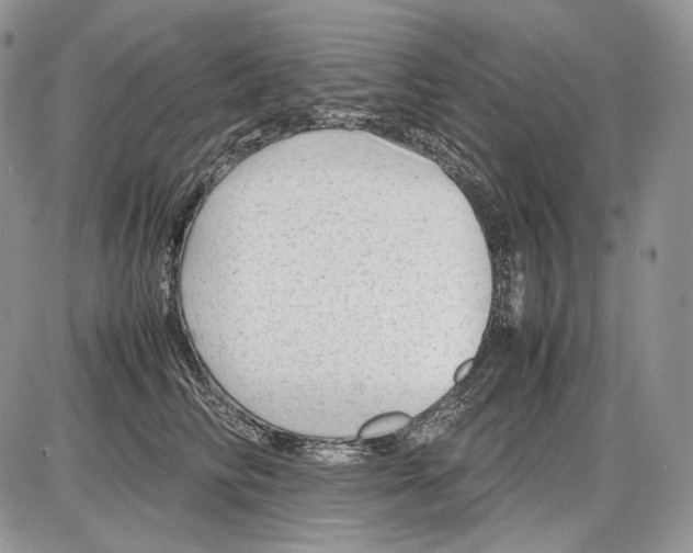 X0000086080710200704202151