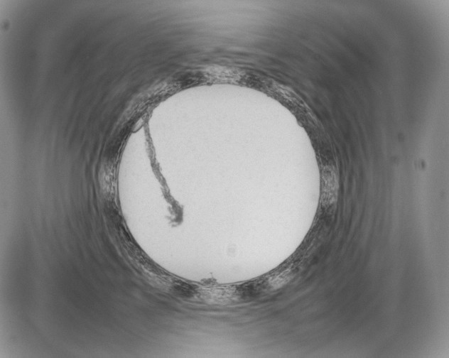 X0000086080713200704202151