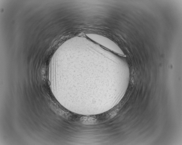 X0000086080714200704202151