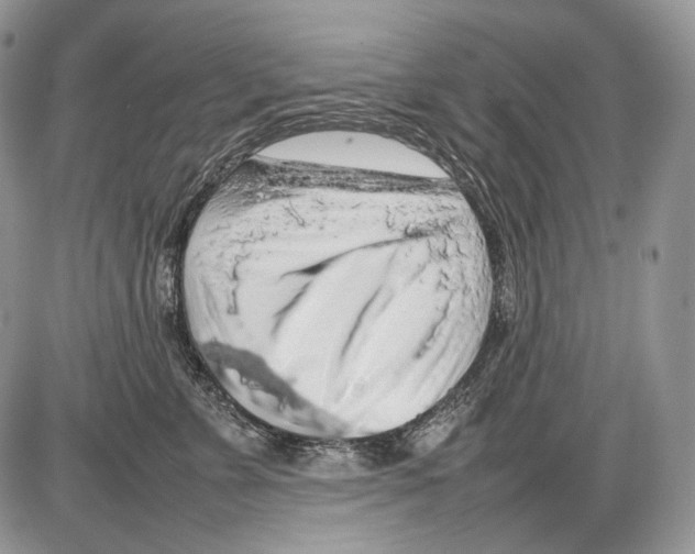 X0000086080715200704202151