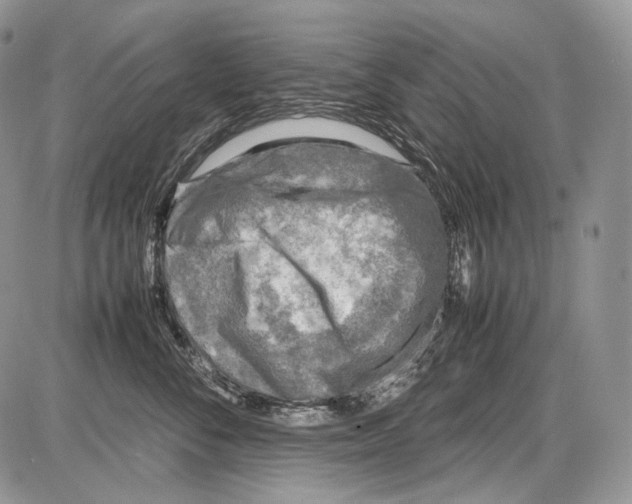 X0000086080716200704202151