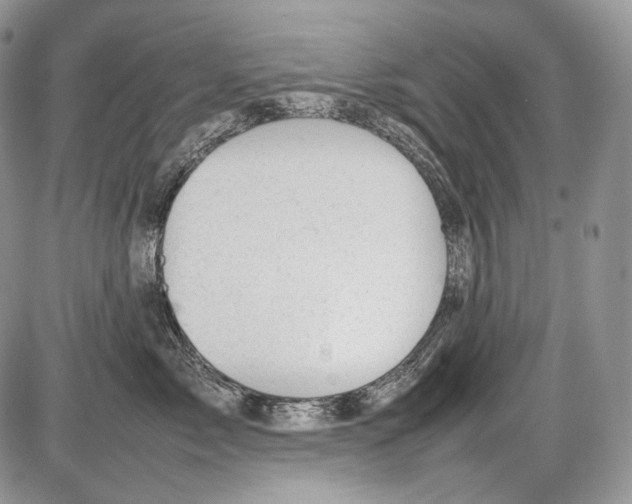 X0000086080717200704202151