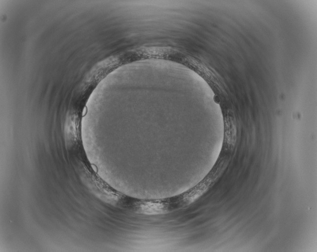 X0000086080718200704202151