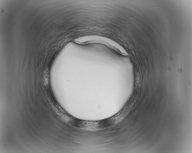 X0000086080719200704202151