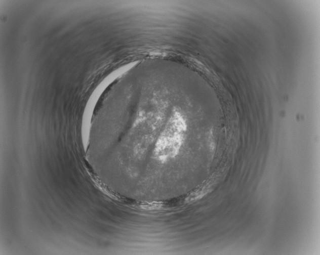 X0000086080720200704202151