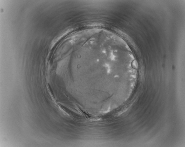 X0000086080721200704202150