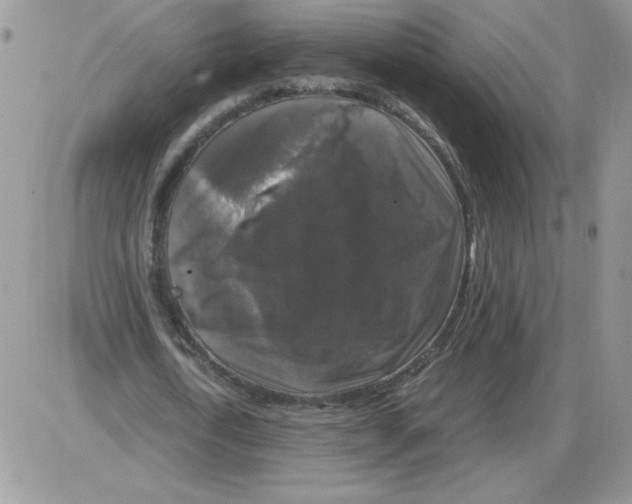 X0000086080722200704202150