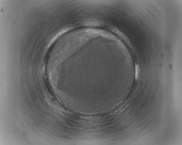 X0000086080723200704202150