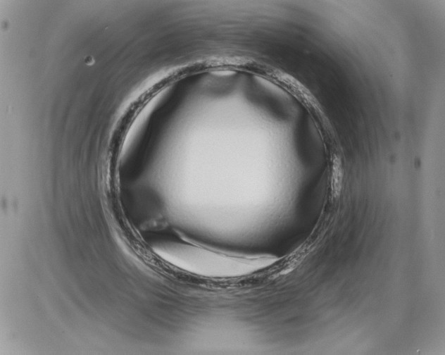 X0000086080726200704202150