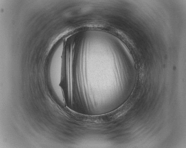 X0000086080727200704202150