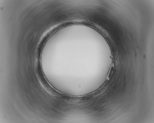 X0000086080728200704202150