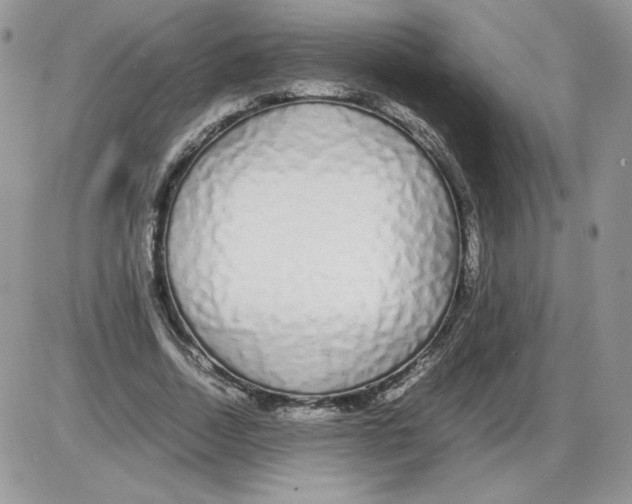 X0000086080730200704202150