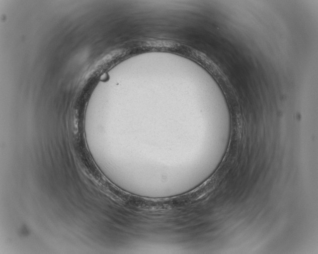 X0000086080731200704202150