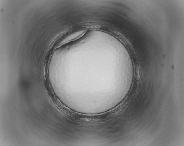 X0000086080733200704202150