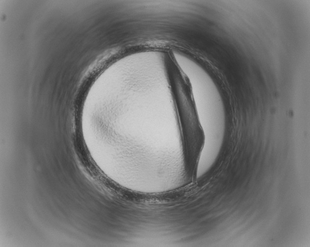 X0000086080734200704202150