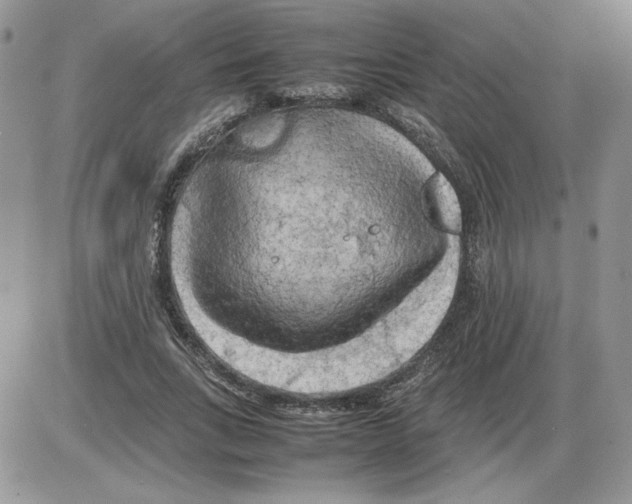 X0000086080735200704202150