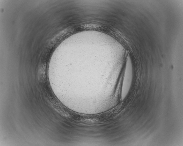 X0000086080737200704202150