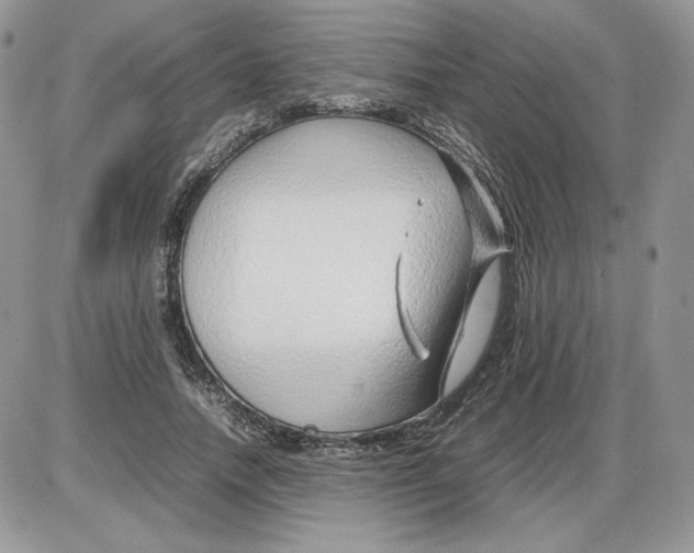 X0000086080738200704202150