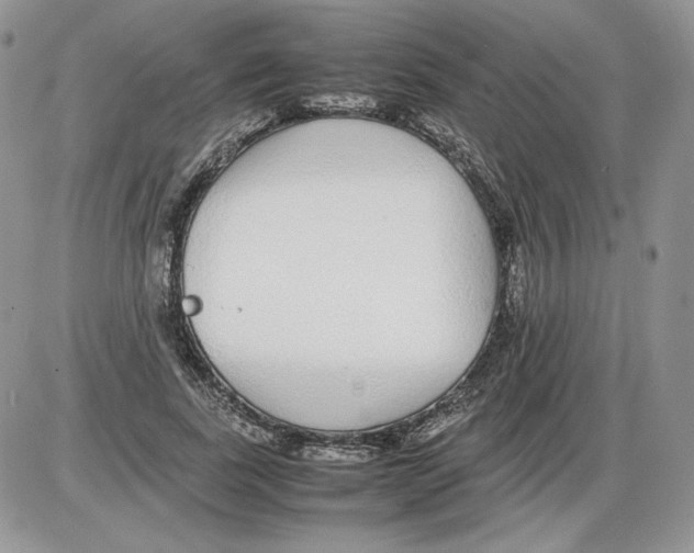 X0000086080739200704202150