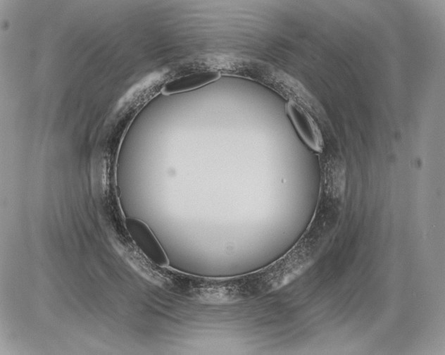 X0000086080740200704202150