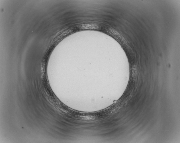 X0000086080741200704202151