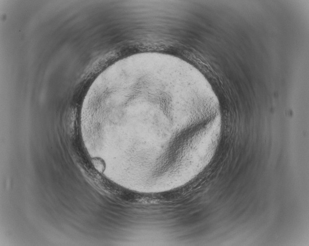 X0000086080742200704202151