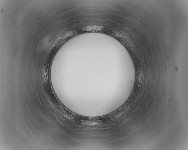 X0000086080743200704202151