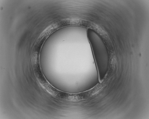 X0000086080744200704202151