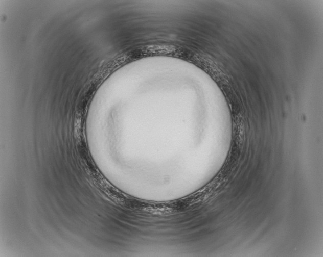 X0000086080745200704202151