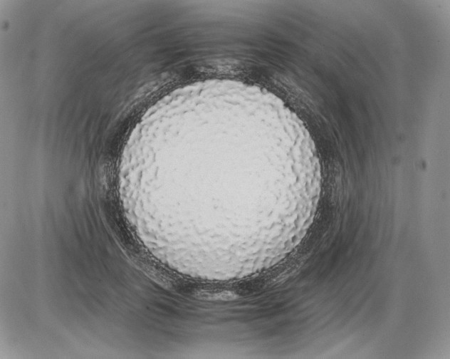 X0000086080747200704202151