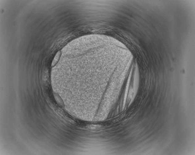 X0000086080748200704202151