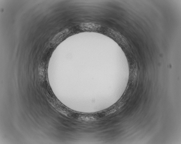 X0000086080749200704202151