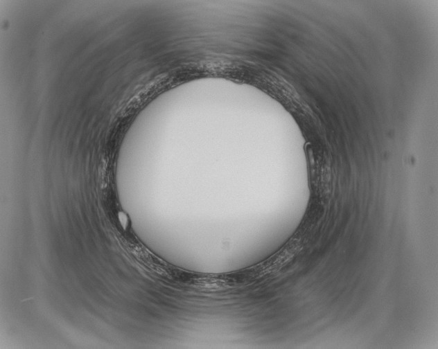 X0000086080750200704202151