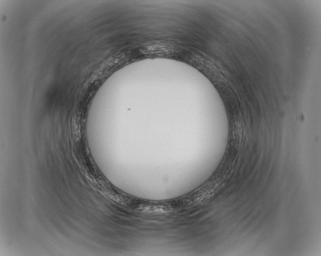 X0000086080751200704202151