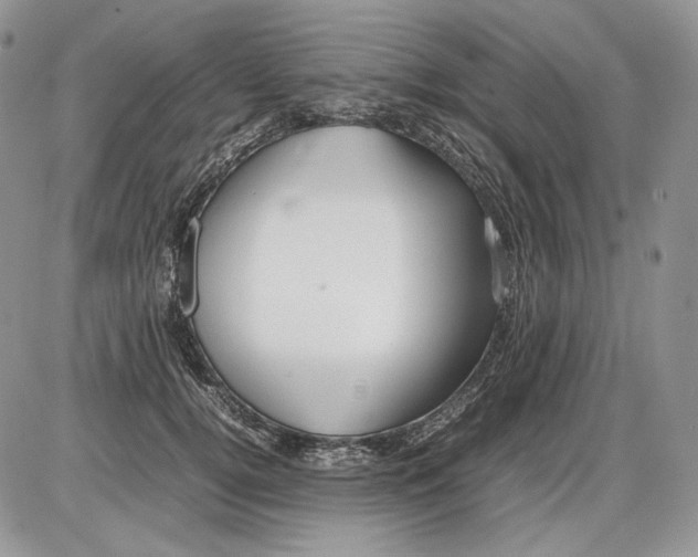 X0000086080752200704202151