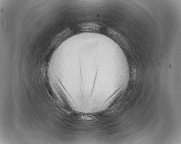 X0000086080753200704202151