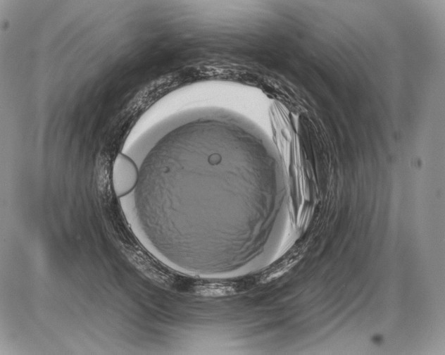 X0000086080754200704202151