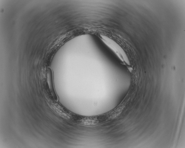 X0000086080756200704202151