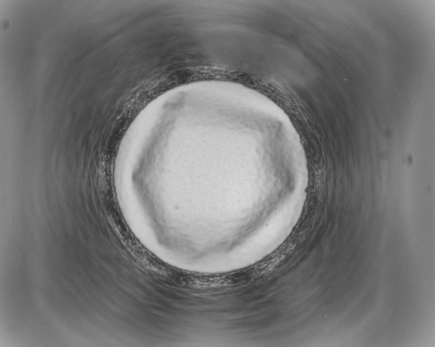 X0000086080757200704202151