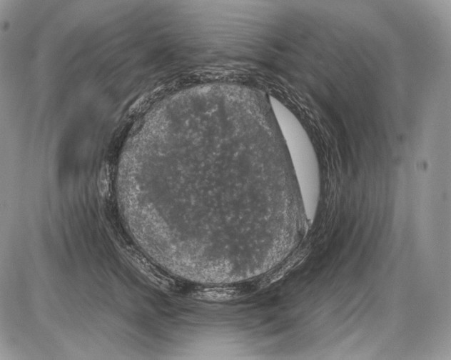 X0000086080758200704202151