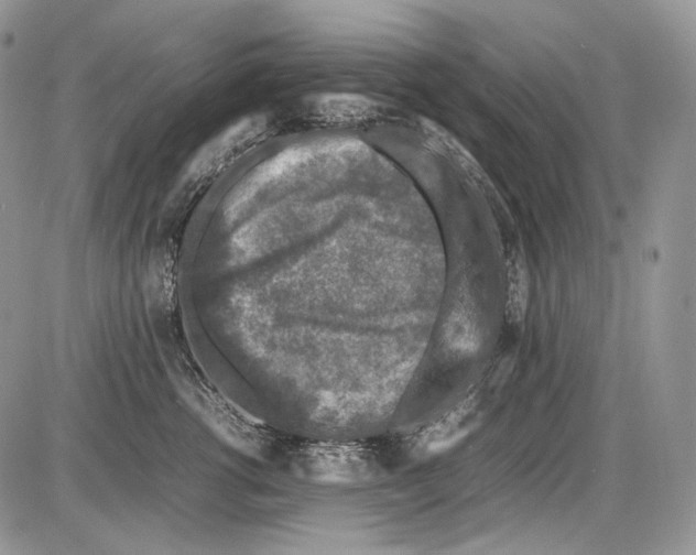 X0000086080762200704202151