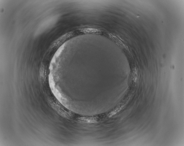 X0000086080763200704202151